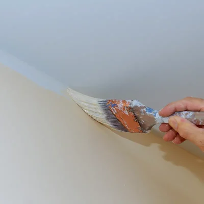 peinture interieure neuf